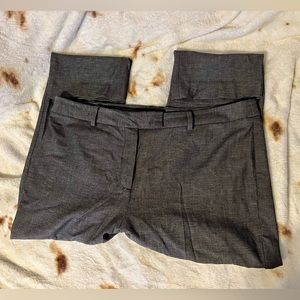 Talbots Charcoal High-Waist Straight Pant Size 16P